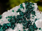 Natural Cabinet Sized Ball Malachite Specimens Coated with Drusy Quartz on Dolomite x 3 From Mindingi Mine, Congo - Toprock Gemstones and Minerals 