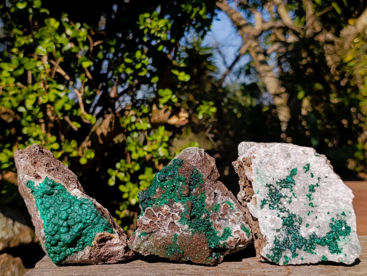 Natural Cabinet Sized Ball Malachite Specimens Coated with Drusy Quartz on Dolomite x 3 From Mindingi Mine, Congo - Toprock Gemstones and Minerals 