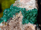 Natural Cabinet Sized Ball Malachite Specimens Coated with Drusy Quartz on Dolomite x 3 From Mindingi Mine, Congo - Toprock Gemstones and Minerals 