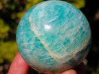 Polished Amazonite Spheres x 6 From Madagascar - Toprock Gemstones and Minerals 