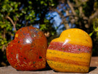 Polished Ocean Jasper Hearts x 6 From Northwest Coast, Madagascar - Toprock Gemstones and Minerals 