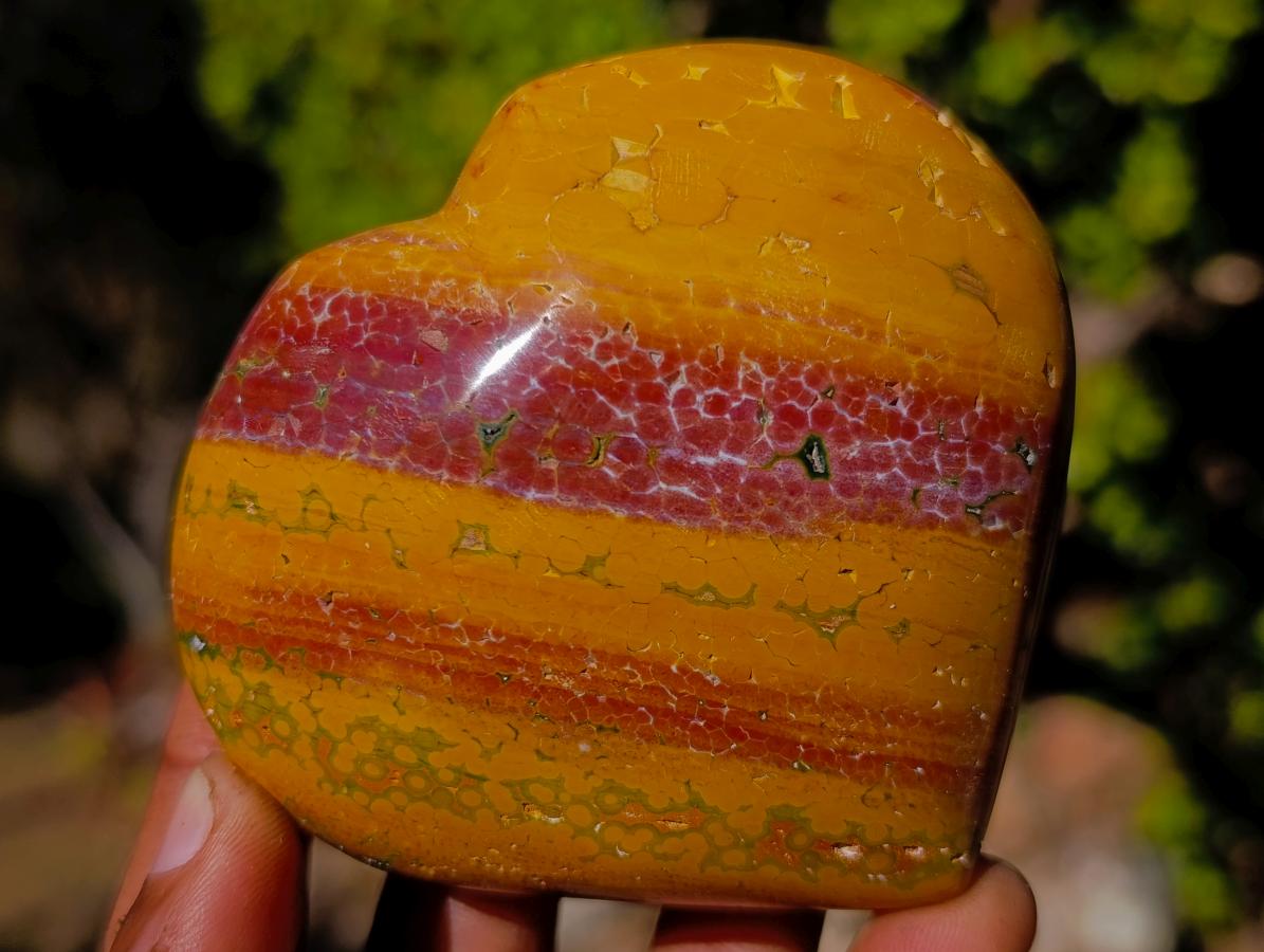 Polished Ocean Jasper Hearts x 6 From Northwest Coast, Madagascar - Toprock Gemstones and Minerals 