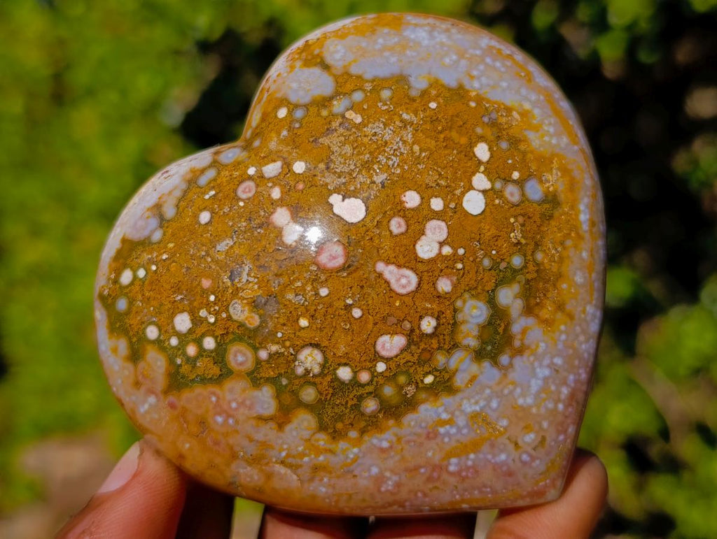 Polished Ocean Jasper Hearts x 6 From Northwest Coast, Madagascar - Toprock Gemstones and Minerals 