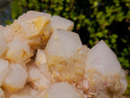 Natural XL Cascading "Anananas" Candle Quartz Cluster x 1 From Antsirabe, Madagascar - Toprock Gemstones and Minerals 
