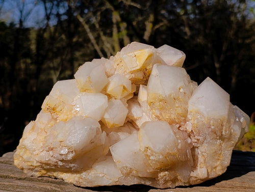 Natural XL Cascading "Anananas" Candle Quartz Cluster x 1 From Antsirabe, Madagascar - Toprock Gemstones and Minerals 