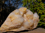 Natural XL Cascading "Anananas" Candle Quartz Cluster x 1 From Antsirabe, Madagascar - Toprock Gemstones and Minerals 