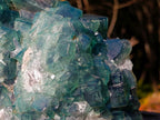 Natural Large Green Cubic Fluorite Specimen x 1 From Mandrosonoro, Madagascar - Toprock Gemstones and Minerals 