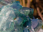 Natural Large Green Cubic Fluorite Specimen x 1 From Mandrosonoro, Madagascar - Toprock Gemstones and Minerals 