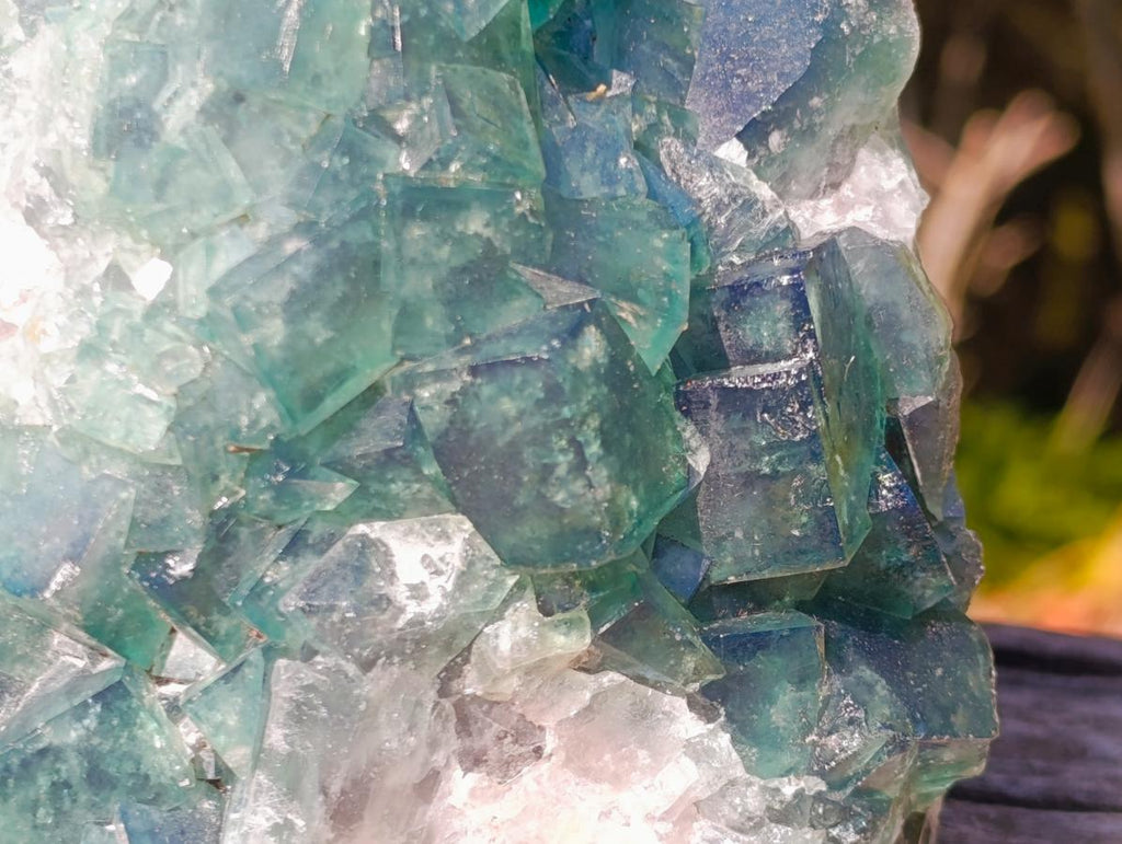Natural Large Green Cubic Fluorite Specimen x 1 From Mandrosonoro, Madagascar - Toprock Gemstones and Minerals 