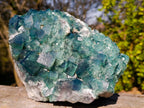 Natural Large Green Cubic Fluorite Specimen x 1 From Mandrosonoro, Madagascar - Toprock Gemstones and Minerals 