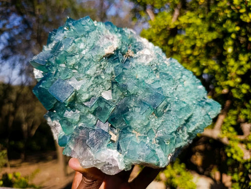 Natural Large Green Cubic Fluorite Specimen x 1 From Mandrosonoro, Madagascar - Toprock Gemstones and Minerals 