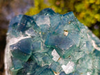 Natural Large Green Cubic Fluorite Specimen x 1 From Mandrosonoro, Madagascar - Toprock Gemstones and Minerals 