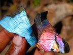 Polished One Side Labradorite Slices x 70 From Madagascar - Toprock Gemstones and Minerals 