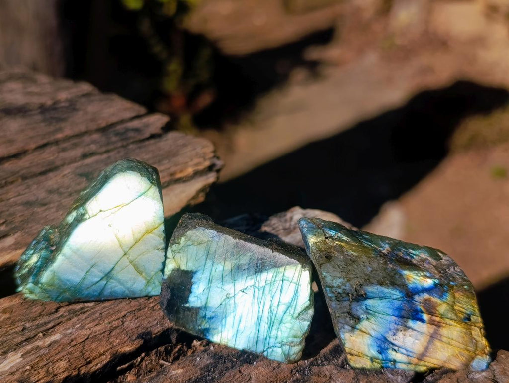 Polished One Side Labradorite Slices x 70 From Madagascar - Toprock Gemstones and Minerals 