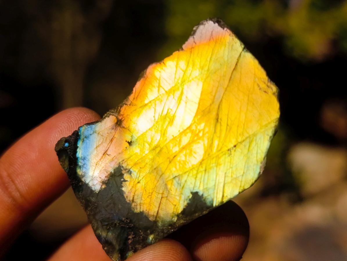 Polished One Side Labradorite Slices x 70 From Madagascar - Toprock Gemstones and Minerals 