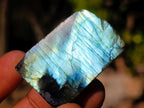 Polished One Side Labradorite Slices x 70 From Madagascar - Toprock Gemstones and Minerals 