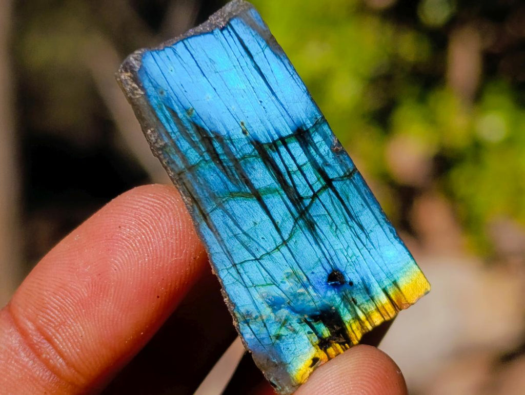 Polished One Side Labradorite Slices x 70 From Madagascar - Toprock Gemstones and Minerals 