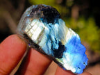 Polished One Side Labradorite Slices x 70 From Madagascar - Toprock Gemstones and Minerals 
