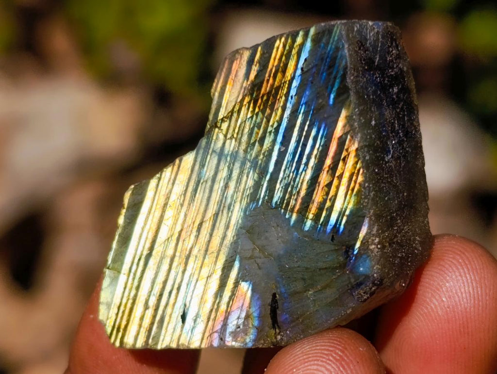 Polished One Side Labradorite Slices x 70 From Madagascar - Toprock Gemstones and Minerals 