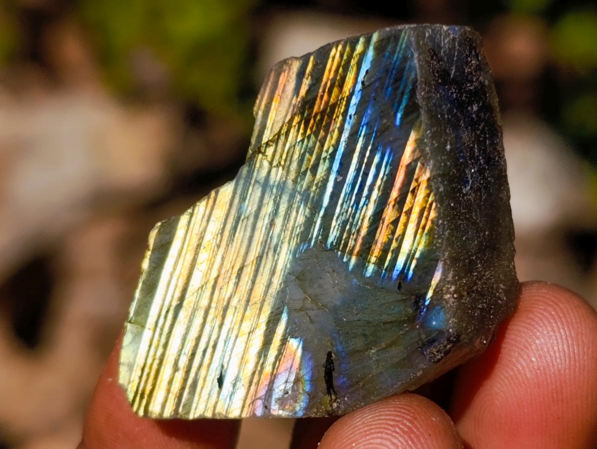Polished One Side Labradorite Slices x 70 From Madagascar - Toprock Gemstones and Minerals 