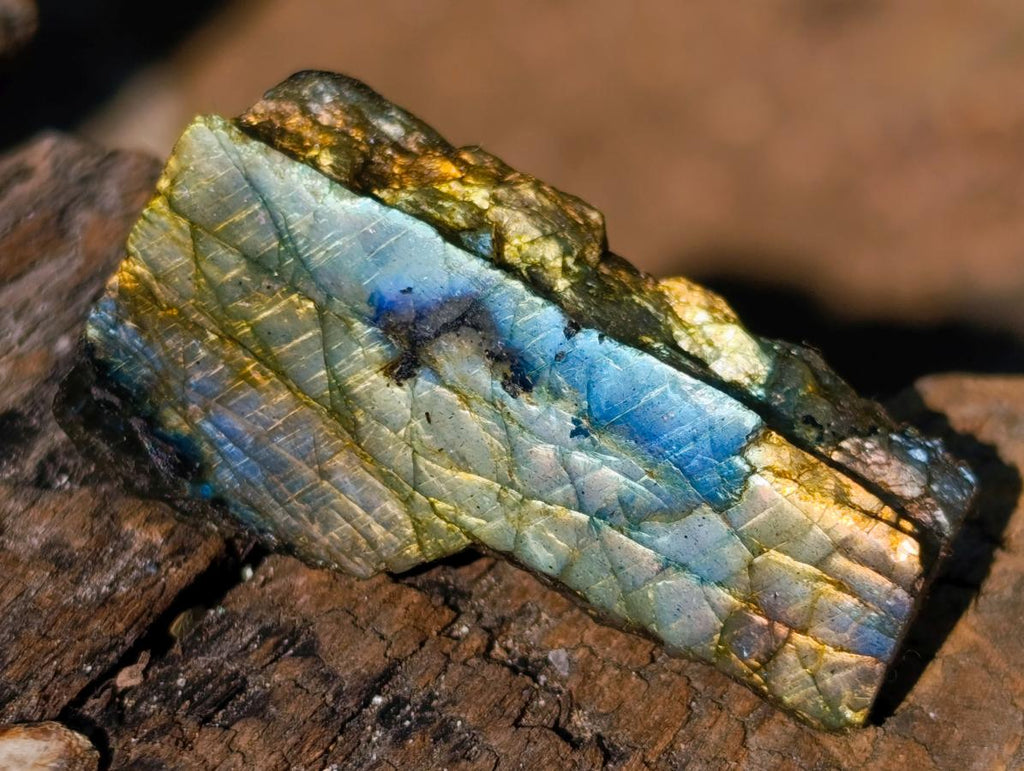 Polished One Side Labradorite Slices x 70 From Madagascar - Toprock Gemstones and Minerals 