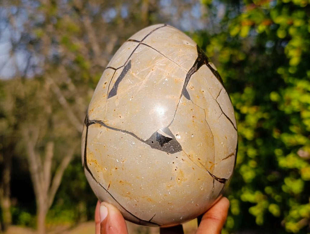 Polished Septerye Sauvage "Dragons Egg" Geodes x 2 From Mahajanga, Madagascar - Toprock Gemstones and Minerals 