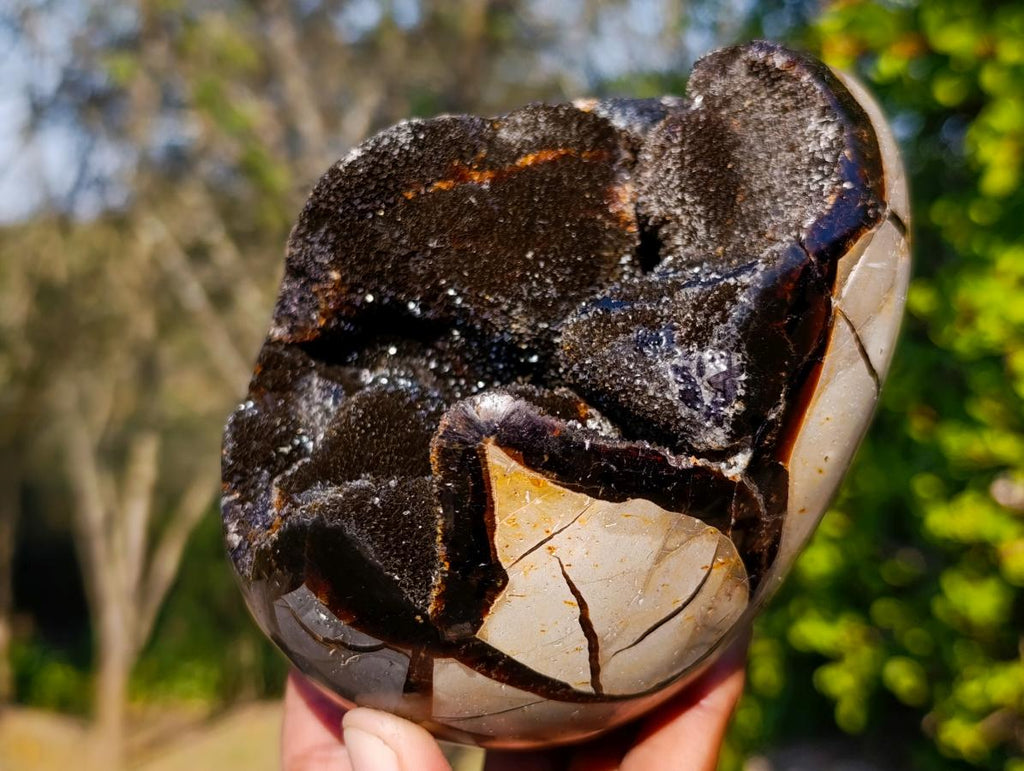 Polished Septerye Sauvage "Dragons Egg" Geodes x 2 From Mahajanga, Madagascar - Toprock Gemstones and Minerals 