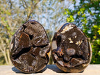 Polished Septerye Sauvage "Dragons Egg" Geodes x 2 From Mahajanga, Madagascar - Toprock Gemstones and Minerals 