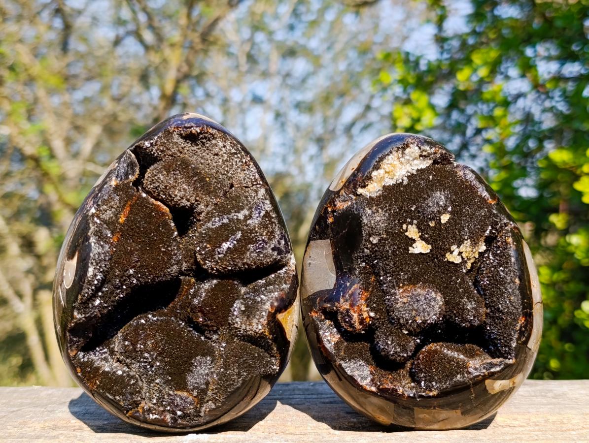 Polished Septerye Sauvage "Dragons Egg" Geodes x 2 From Mahajanga, Madagascar - Toprock Gemstones and Minerals 