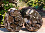 Polished Septerye Sauvage "Dragons Egg" Geodes x 2 From Mahajanga, Madagascar - Toprock Gemstones and Minerals 