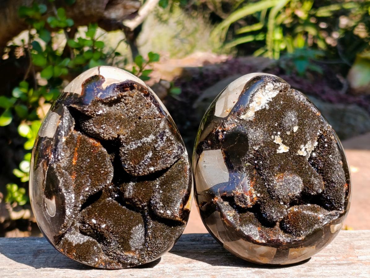 Polished Septerye Sauvage "Dragons Egg" Geodes x 2 From Mahajanga, Madagascar - Toprock Gemstones and Minerals 