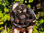 Polished Septerye Sauvage "Dragons Egg" Geodes x 2 From Mahajanga, Madagascar - Toprock Gemstones and Minerals 