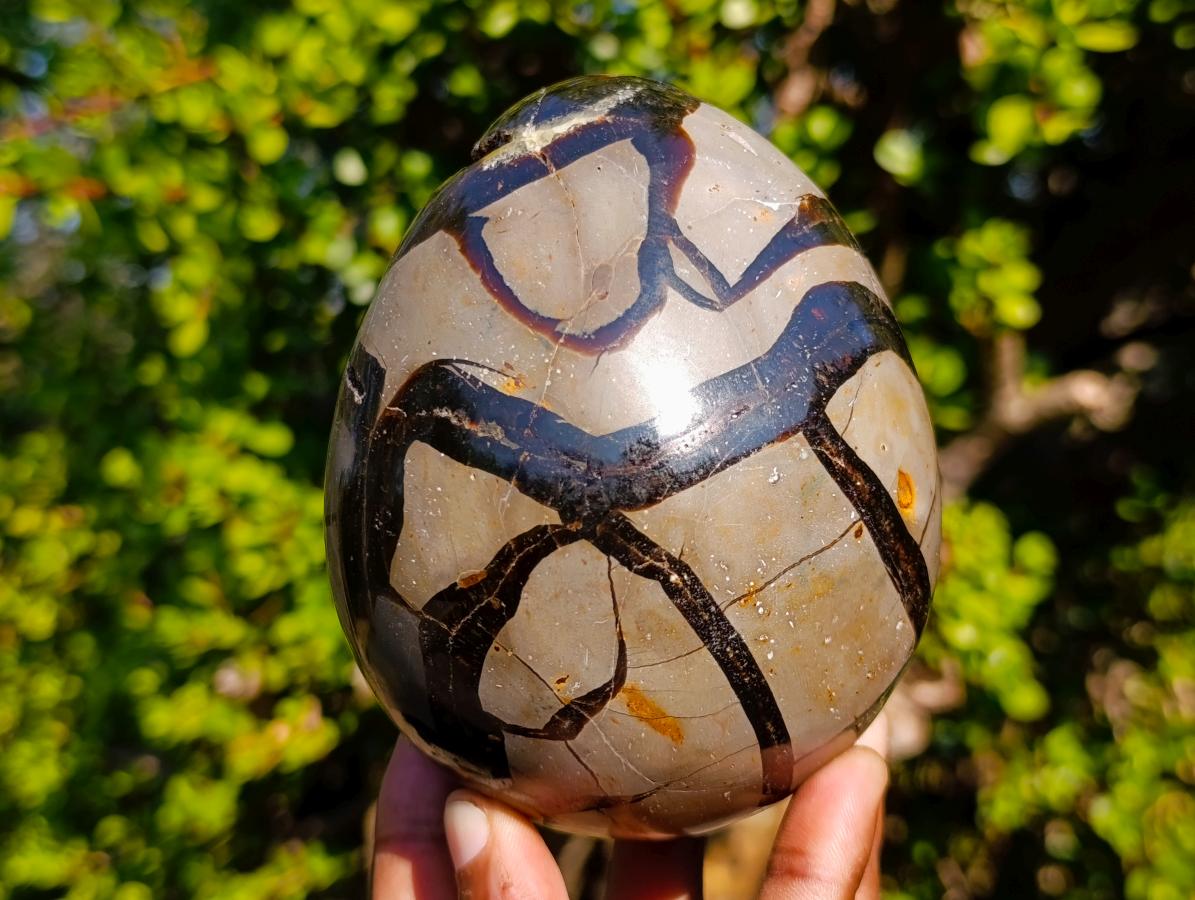 Polished Septerye Sauvage "Dragons Egg" Geodes x 2 From Mahajanga, Madagascar - Toprock Gemstones and Minerals 