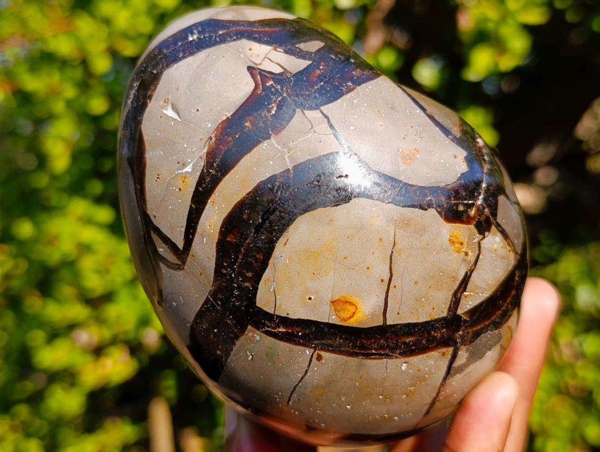 Polished Septerye Sauvage "Dragons Egg" Geodes x 2 From Mahajanga, Madagascar - Toprock Gemstones and Minerals 