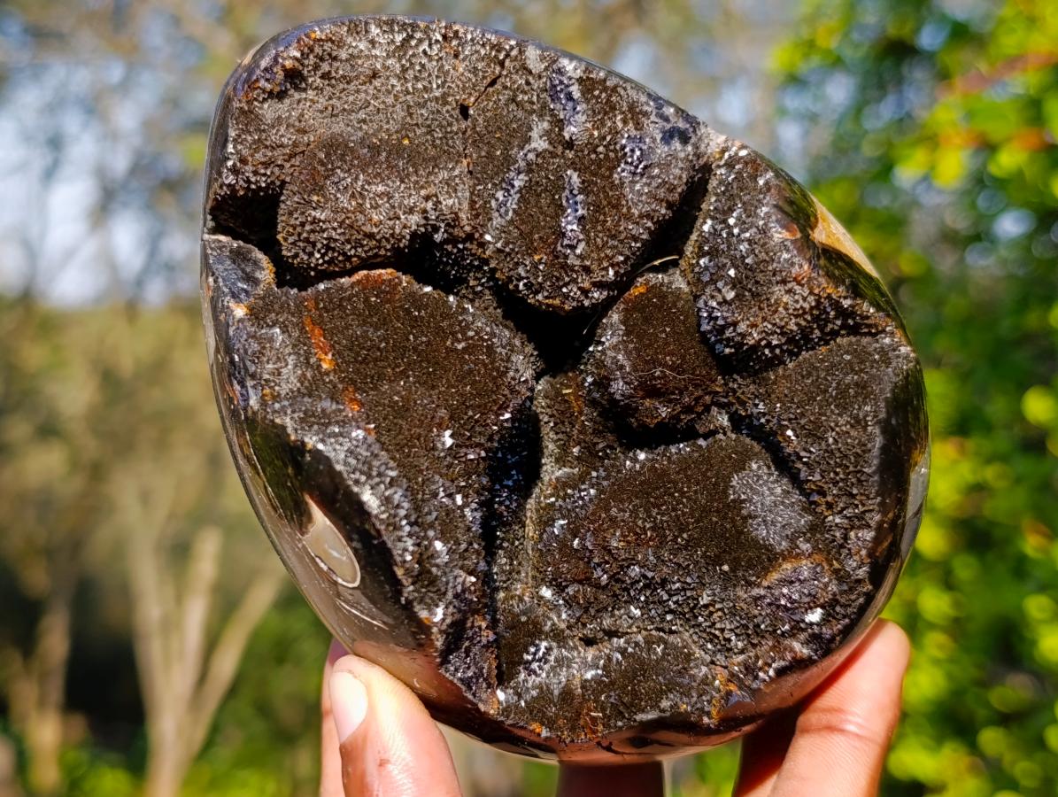 Polished Septerye Sauvage "Dragons Egg" Geodes x 2 From Mahajanga, Madagascar - Toprock Gemstones and Minerals 