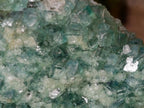 Natural Green Cubic Fluorite Specimens x 2 From Mandrosonoro, Madagascar - Toprock Gemstones and Minerals 
