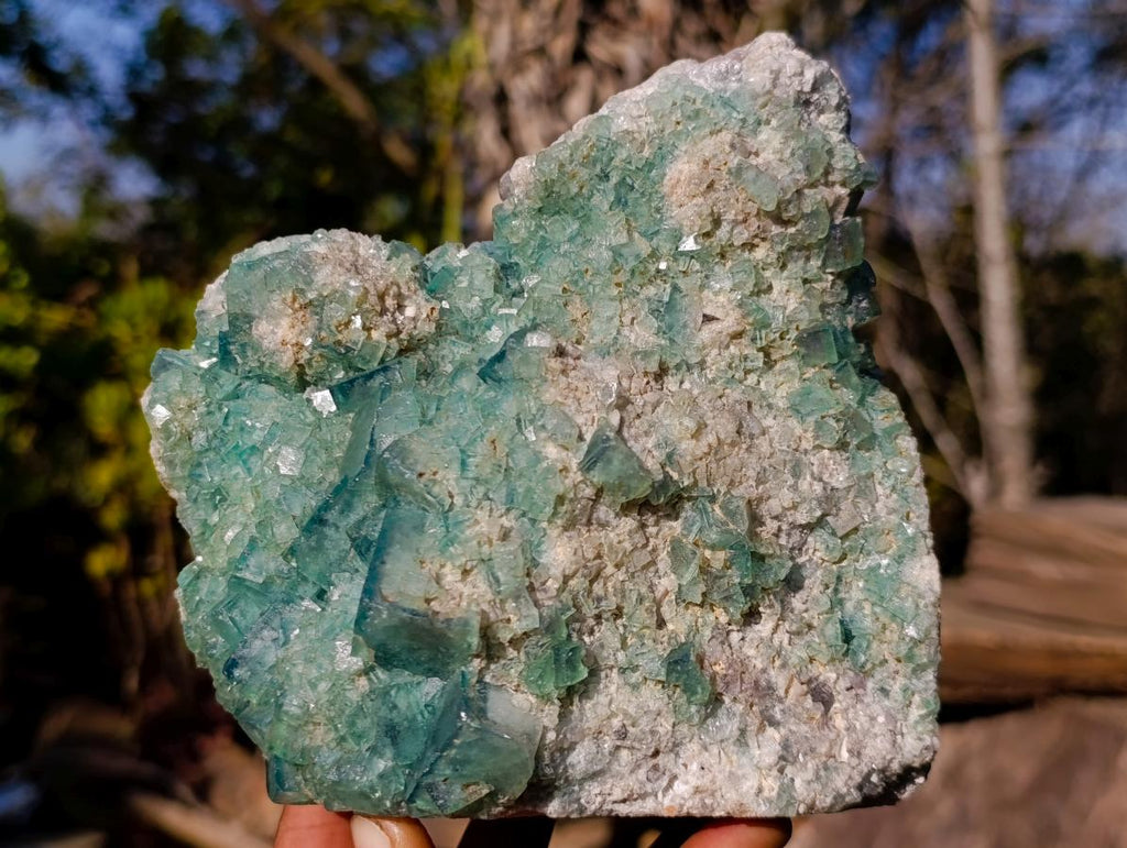 Natural Green Cubic Fluorite Specimens x 2 From Mandrosonoro, Madagascar - Toprock Gemstones and Minerals 