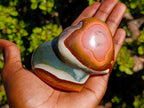 Polished Polychrome Jasper Twin Hearts x 3 From NW Coast, Madagascar - Toprock Gemstones and Minerals 