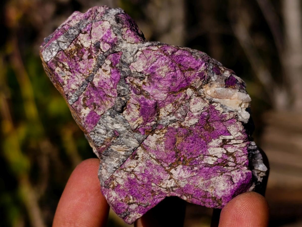 Natural Metallic Cobbed Purpurite Specimens x 12 From Erongo, Namibia - Toprock Gemstones and Minerals 
