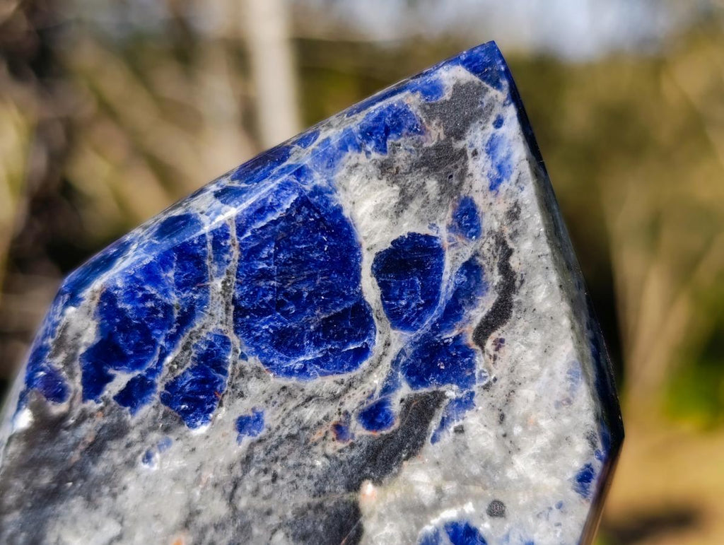 Polished Sodalite Display Crystals x 3 From Kunene River, Namibia - Toprock Gemstones and Minerals 