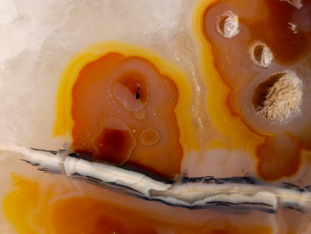 Polished Large Lemur Island Carnelian Agate Crystalline Hearts x 6 From Nosy Varika, Madagascar - Toprock Gemstones and Minerals 