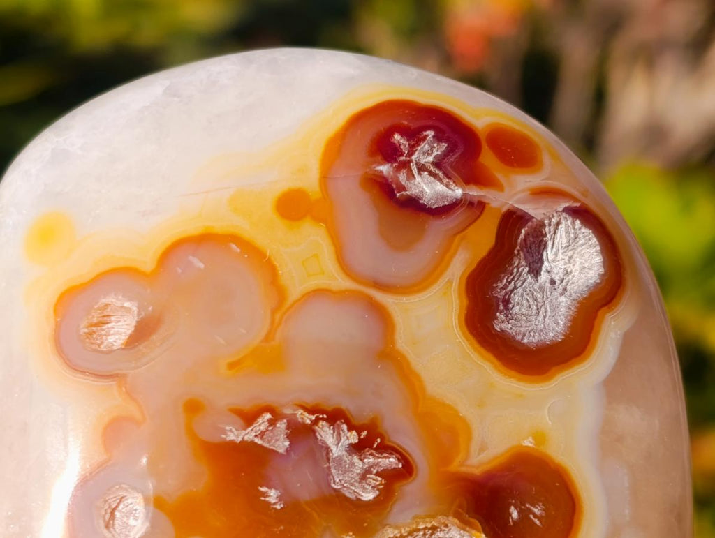 Polished Large Lemur Island Carnelian Agate Crystalline Hearts x 6 From Nosy Varika, Madagascar - Toprock Gemstones and Minerals 