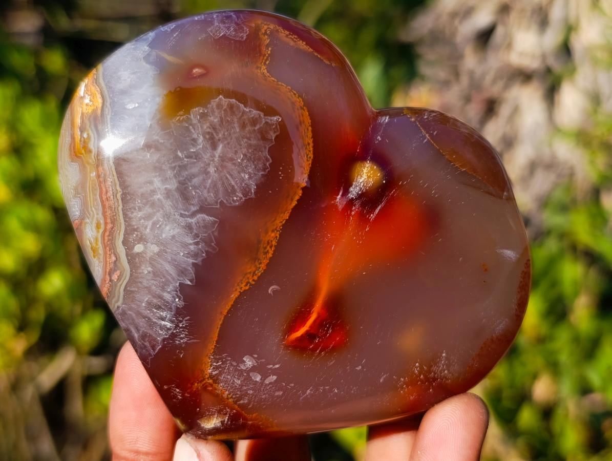 Polished Large Lemur Island Carnelian Agate Crystalline Hearts x 6 From Nosy Varika, Madagascar - Toprock Gemstones and Minerals 