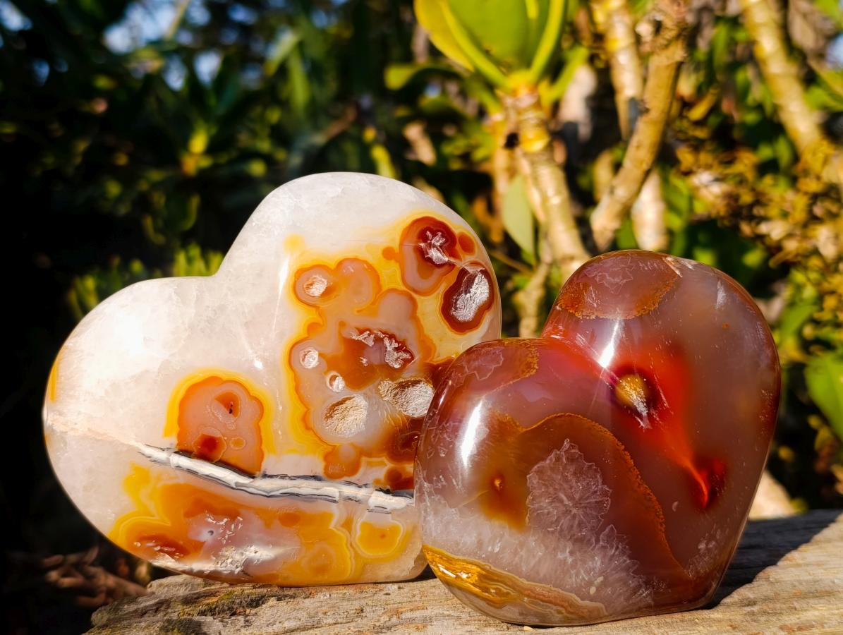 Polished Large Lemur Island Carnelian Agate Crystalline Hearts x 6 From Nosy Varika, Madagascar - Toprock Gemstones and Minerals 