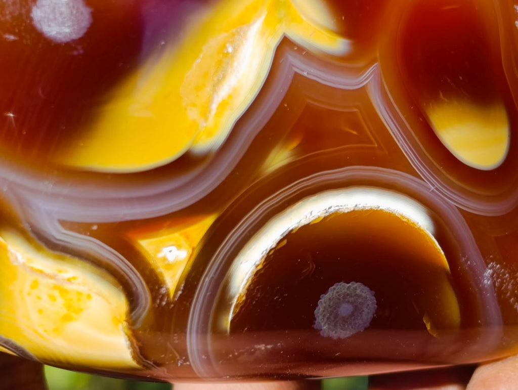 Polished Large Lemur Island Carnelian Agate Crystalline Hearts x 6 From Nosy Varika, Madagascar - Toprock Gemstones and Minerals 