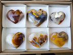 Polished Large Lemur Island Carnelian Agate Crystalline Hearts x 6 From Nosy Varika, Madagascar - Toprock Gemstones and Minerals 