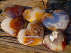 Polished Large Lemur Island Carnelian Agate Crystalline Hearts x 6 From Nosy Varika, Madagascar - Toprock Gemstones and Minerals 