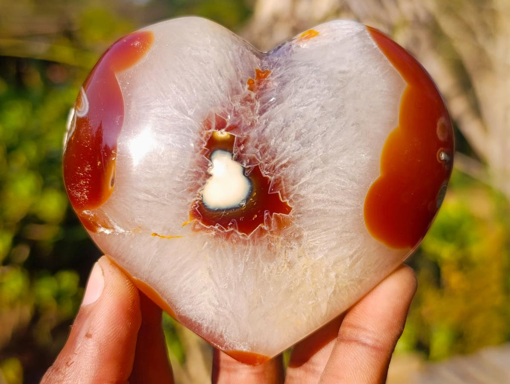 Polished Large Lemur Island Carnelian Agate Crystalline Hearts x 6 From Nosy Varika, Madagascar - Toprock Gemstones and Minerals 