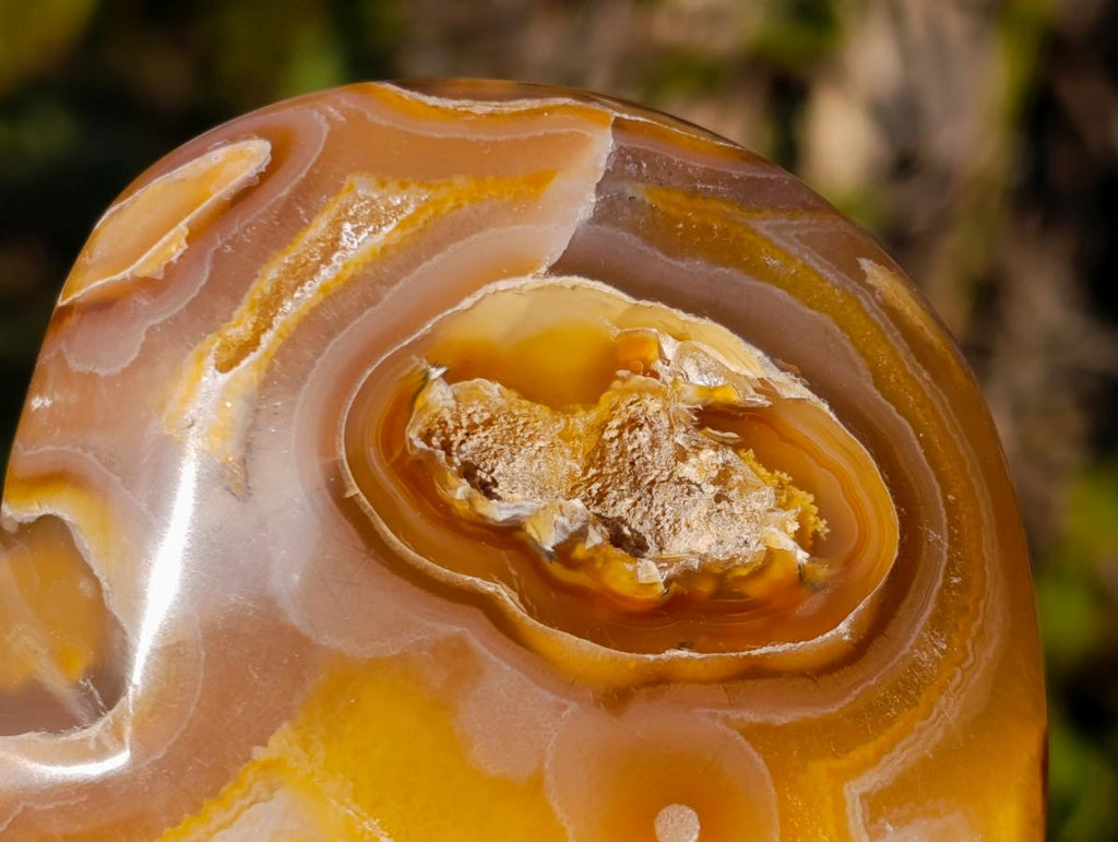 Polished Large Lemur Island Carnelian Agate Crystalline Hearts x 6 From Nosy Varika, Madagascar - Toprock Gemstones and Minerals 