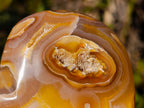 Polished Large Lemur Island Carnelian Agate Crystalline Hearts x 6 From Nosy Varika, Madagascar - Toprock Gemstones and Minerals 